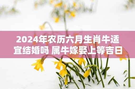 2025年农历六月生肖牛适宜结婚吗 属牛嫁娶上等吉日