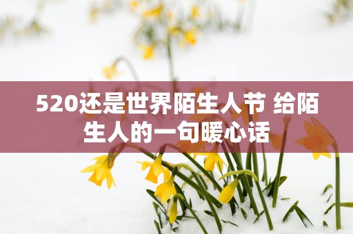 520还是世界陌生人节 给陌生人的一句暖心话