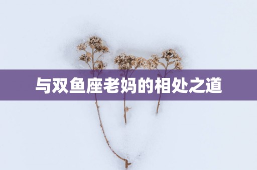 与双鱼座老妈的相处之道