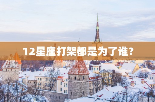12星座打架都是为了谁？