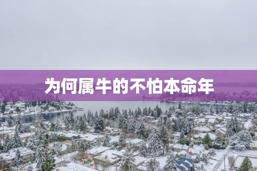 为何属牛的不怕本命年