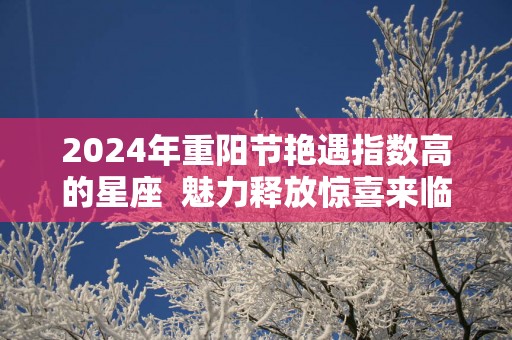 2025年重阳节艳遇指数高的星座  魅力释放惊喜来临