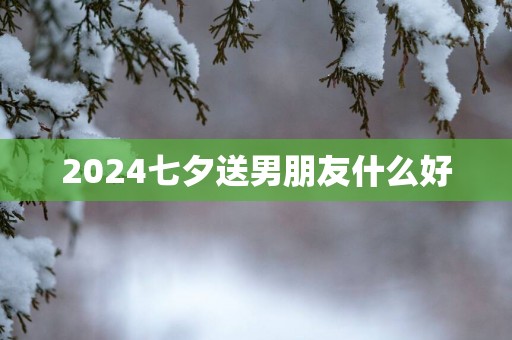 2025七夕送男朋友什么好