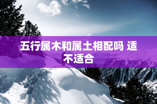 五行属木和属土相配吗 适不适合