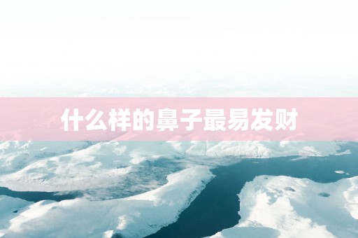 什么样的鼻子最易发财