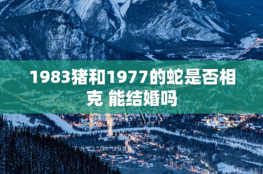 1983猪和1977的蛇是否相克 能结婚吗