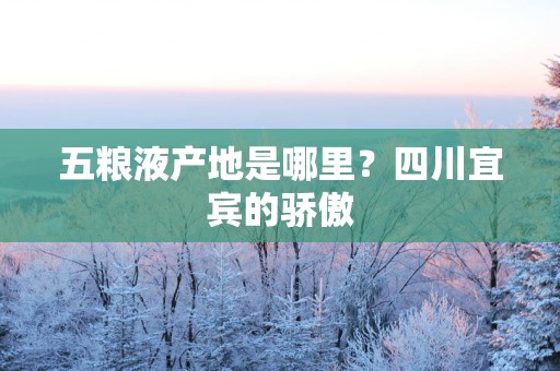 五粮液产地是哪里？四川宜宾的骄傲