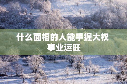 什么面相的人能手握大权 事业运旺