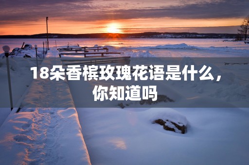 18朵香槟玫瑰花语是什么，你知道吗