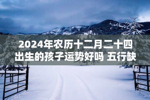 2025年农历十二月二十四出生的孩子运势好吗 五行缺什么 2025年农历十二月二十四出生的孩子运势好吗 五行缺什么