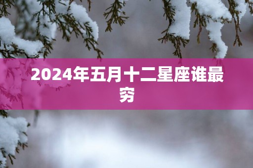 2025年五月十二星座谁最穷