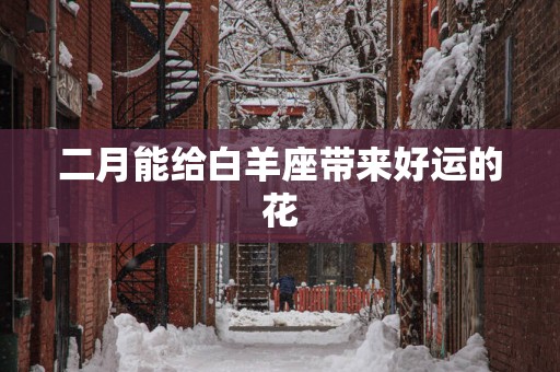 二月能给白羊座带来好运的花