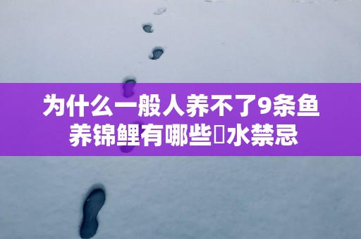 为什么一般人养不了9条鱼 养锦鲤有哪些風水禁忌