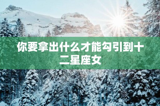 你要拿出什么才能勾引到十二星座女