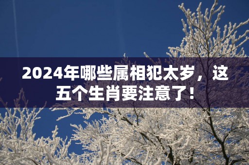 2025年哪些属相犯太岁，这五个生肖要注意了！