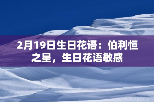 2月19日生日花语：伯利恒之星，生日花语敏感