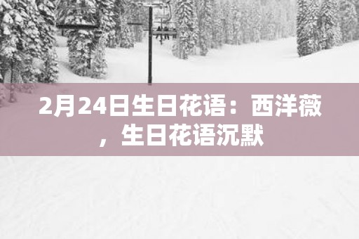2月24日生日花语：西洋薇，生日花语沉默