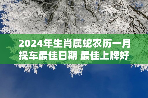 2025年生肖属蛇农历一月提车最佳日期 最佳上牌好日子