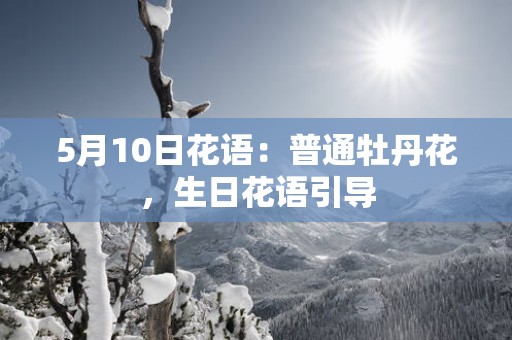 5月10日花语：普通牡丹花，生日花语引导