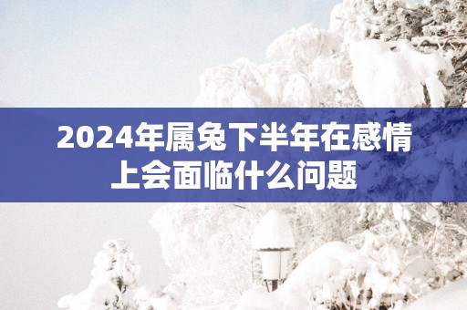 2025年属兔下半年在感情上会面临什么问题