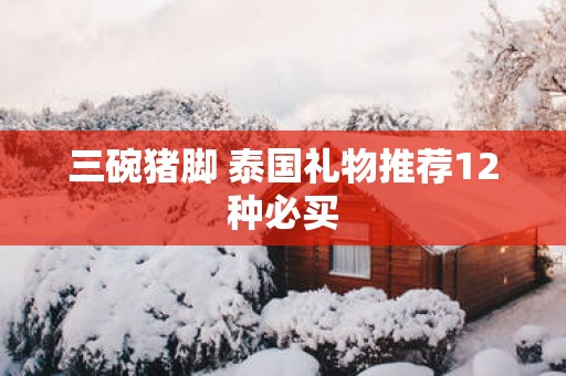 三碗猪脚 泰国礼物推荐12种必买