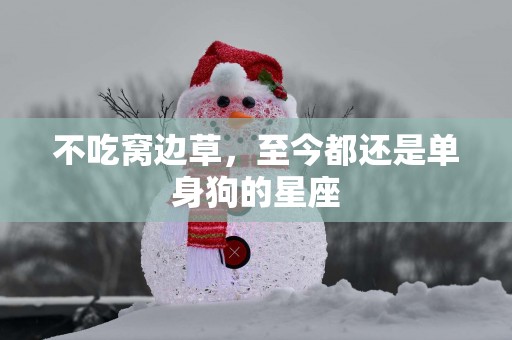 不吃窝边草，至今都还是单身狗的星座