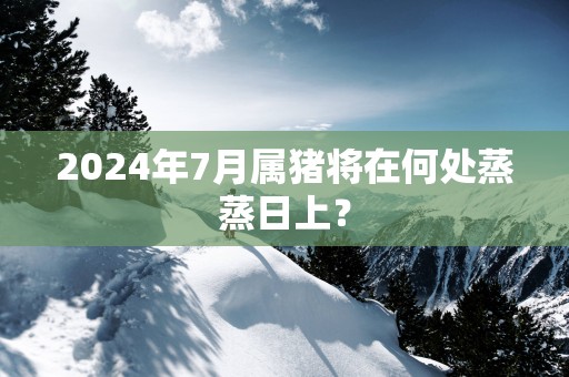 2025年7月属猪将在何处蒸蒸日上？