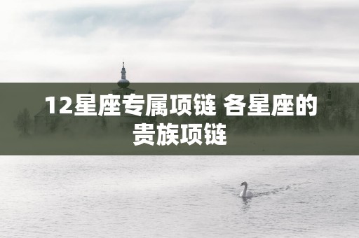 12星座专属项链 各星座的贵族项链