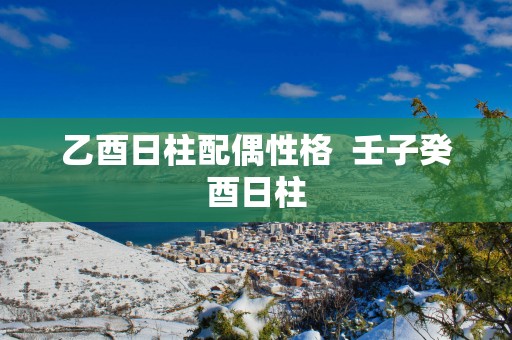 乙酉日柱配偶性格  壬子癸酉日柱