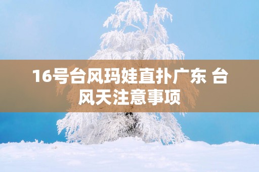 16号台风玛娃直扑广东 台风天注意事项