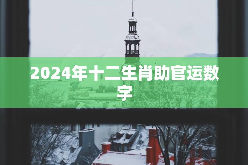 2025年十二生肖助官运数字