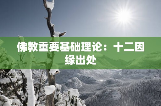 佛教重要基础理论：十二因缘出处