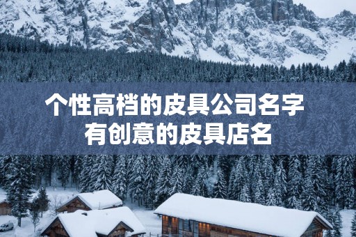 个性高档的皮具公司名字 有创意的皮具店名