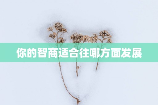 你的智商适合往哪方面发展