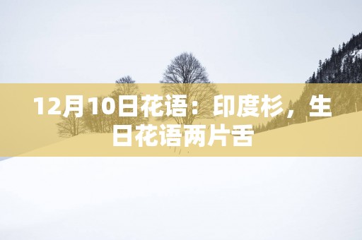 12月10日花语：印度杉，生日花语两片舌