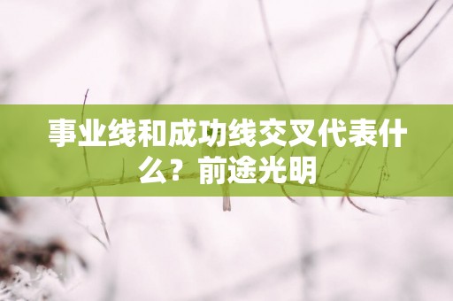 事业线和成功线交叉代表什么？前途光明