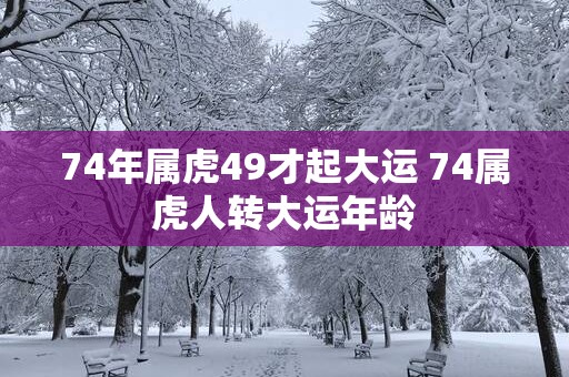 74年属虎49才起大运 74属虎人转大运年龄