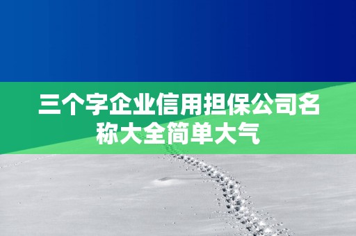 三个字企业信用担保公司名称大全简单大气