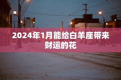 2025年1月能给白羊座带来财运的花