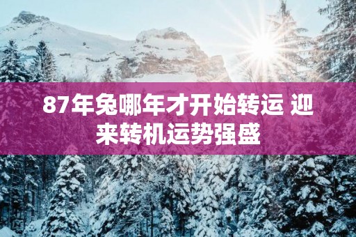 87年兔哪年才开始转运 迎来转机运势强盛