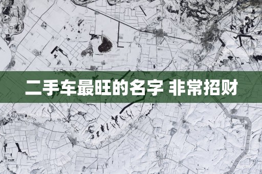 二手车最旺的名字 非常招财