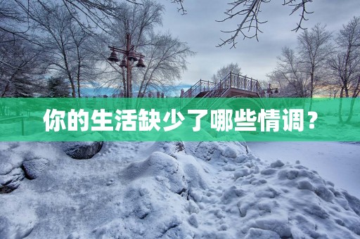 你的生活缺少了哪些情调？