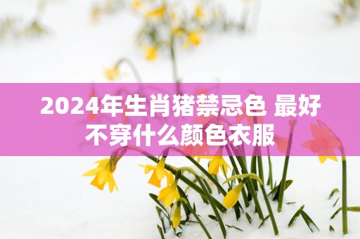 2025年生肖猪禁忌色 最好不穿什么颜色衣服