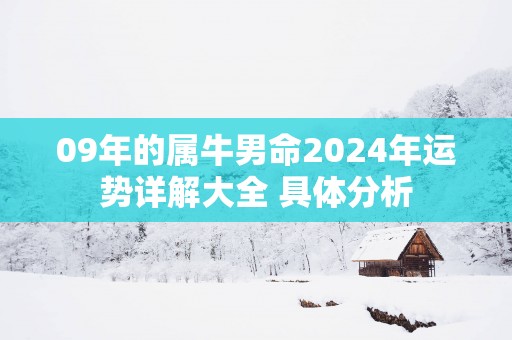 09年的属牛男命2025年运势详解大全 具体分析