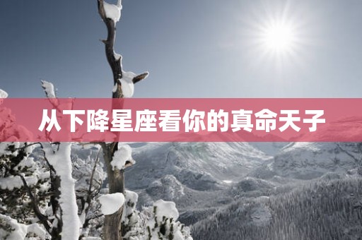 从下降星座看你的真命天子