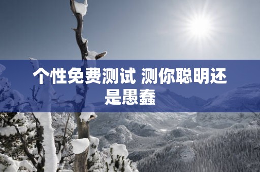 个性免费测试 测你聪明还是愚蠢