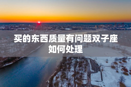 买的东西质量有问题双子座如何处理