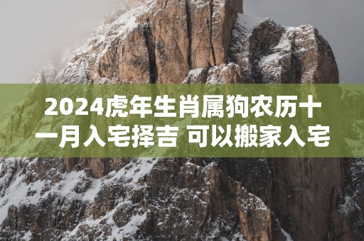 2025蛇年生肖属狗农历十一月入宅择吉 可以搬家入宅的日子