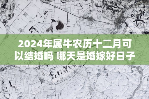 2025年属牛农历十二月可以结婚吗 哪天是婚嫁好日子