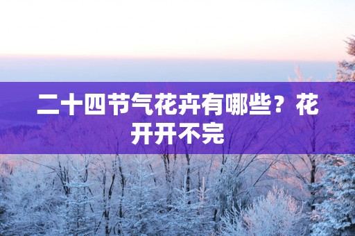 二十四节气花卉有哪些？花开开不完